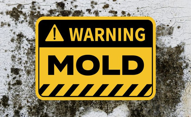 Is the Air Quality Inside Your Rock Hill, SC Home More Dangerous Than the Air Outside? 1